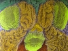 Streichelmonster
